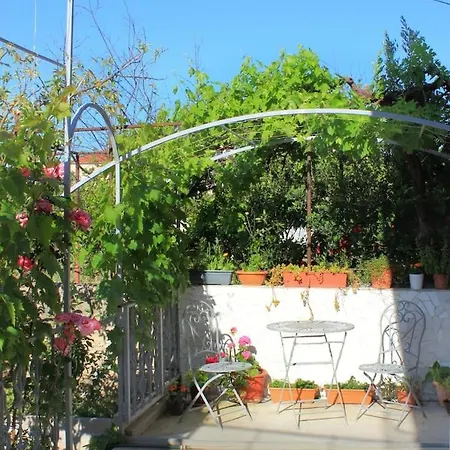 Vinea Trogir